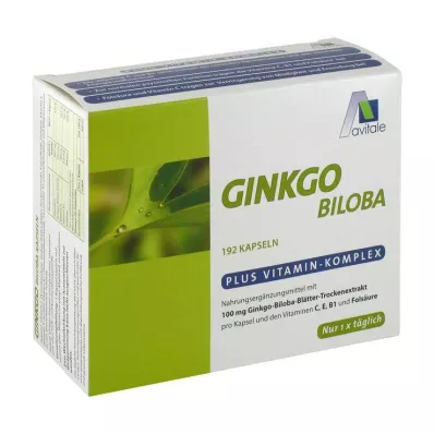 GINKGO 100 mg kapselit+B1+C+E, 192 kpl