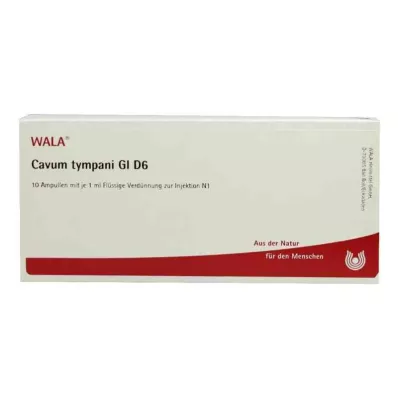 CAVUM tympani GL D 6 ampullia, 10X1 ml CAVUM tympani GL D 6 ampullia, 10X1 ml