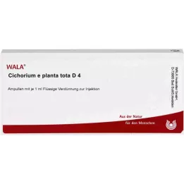CICHORIUM E planta tota D 4 ampullia, 10X1 ml