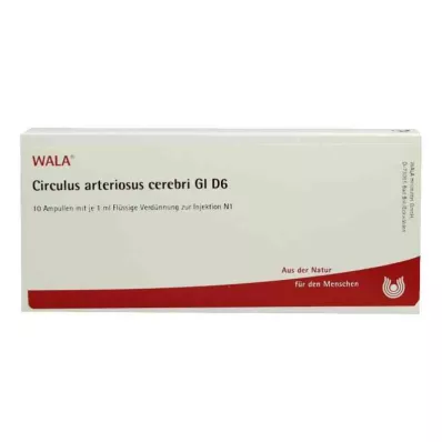 CIRCULUS arteriosus cerebri GL D 6 ampullia, 10X1 ml