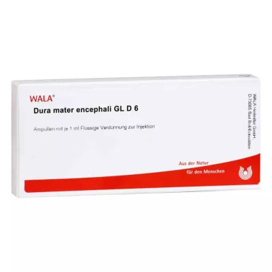 DURA MATER encephali GL D 6 ampullia, 10X1 ml