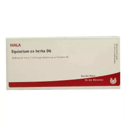 EQUISETUM EX Herba D 6 ampullia, 10X1 ml