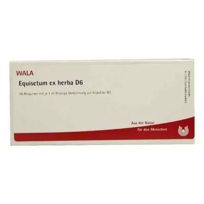 EQUISETUM EX Herba D 6 ampullia, 10X1 ml EQUISETUM EX Herba D 6 ampullia, 10X1 ml