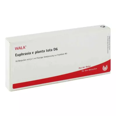 EUPHRASIA E planta tota D 6 Ampullit, 10X1 ml EUPHRASIA E planta tota D 6 Ampullit, 10X1 ml
