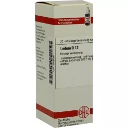 LEDUM D 12 Laimennus, 20 ml