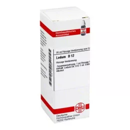 LEDUM D 12 Laimennus, 20 ml