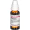 MAGNESIUM CARBONICUM D 6 Laimennus, 20 ml