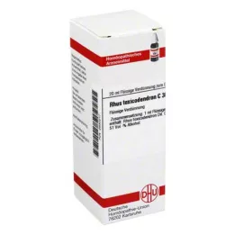 RHUS TOXICODENDRON C 30 -laimennos, 20 ml