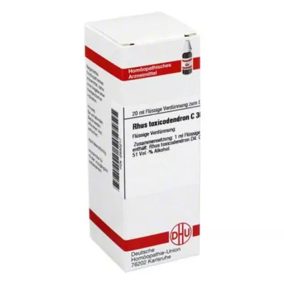 RHUS TOXICODENDRON C 30 -laimennos, 20 ml