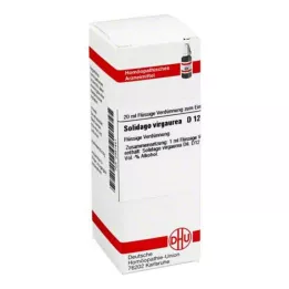 SOLIDAGO VIRGAUREA D 12 Laimennus, 20 ml