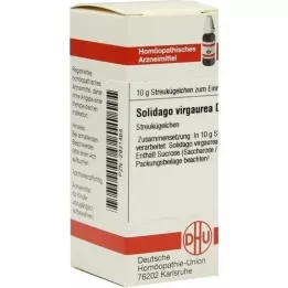 SOLIDAGO VIRGAUREA D 3 palloa, 10 g