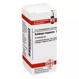 SOLIDAGO VIRGAUREA D 3 palloa, 10 g