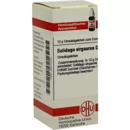 SOLIDAGO VIRGAUREA D 4 palloa, 10 g