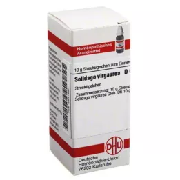 SOLIDAGO VIRGAUREA D 6 palloa, 10 g