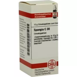 SPONGIA C 30 palloa, 10 g