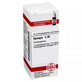 SPONGIA C 30 palloa, 10 g
