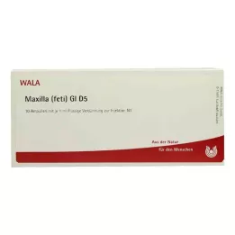 MAXILLA feti GL D 5 ampullia, 10X1 ml