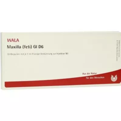 MAXILLA feti GL D 6 ampullia, 10X1 ml MAXILLA feti GL D 6 ampullia, 10X1 ml