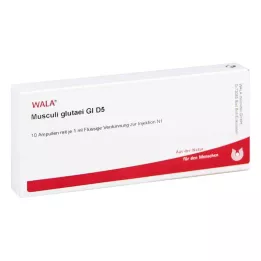 MUSCULI GLUTAEI GL D 5 ampullia, 10X1 ml
