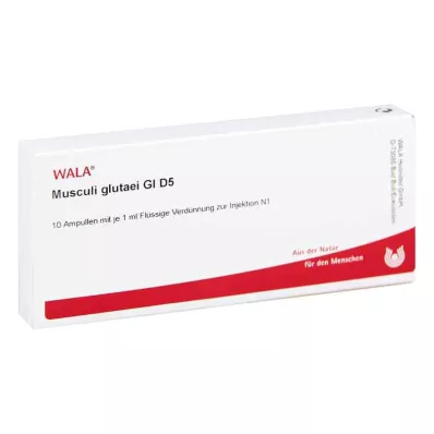 MUSCULI GLUTAEI GL D 5 ampullia, 10X1 ml