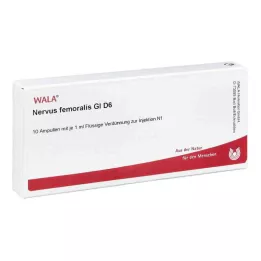 NERVUS FEMORALIS GL D 6 ampullia, 10X1 ml
