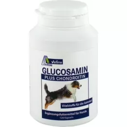 GLUCOSAMIN+CHONDROITIN Kapselit koirille, 120 kpl