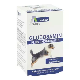 GLUCOSAMIN+CHONDROITIN Kapselit koirille, 120 kpl