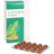 LECITHIN KAPSELN biolog.alsitan, 60 kpl