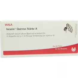 ISCUCIN quercus-tärkkelys A ampullit, 10X1 ml