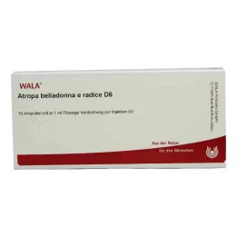 ATROPA belladonna e Radix D 6 ampullia, 10X1 ml