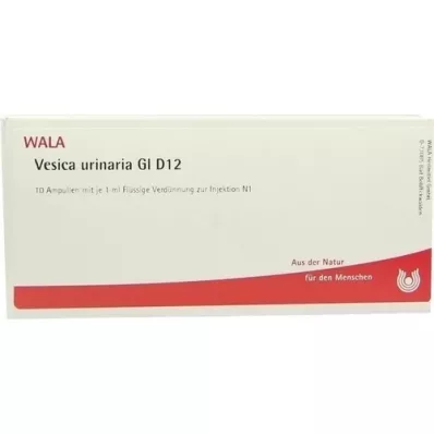 VESICA URINARIA GL D 12 ampullia, 10X1 ml