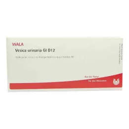 VESICA URINARIA GL D 12 ampullia, 10X1 ml
