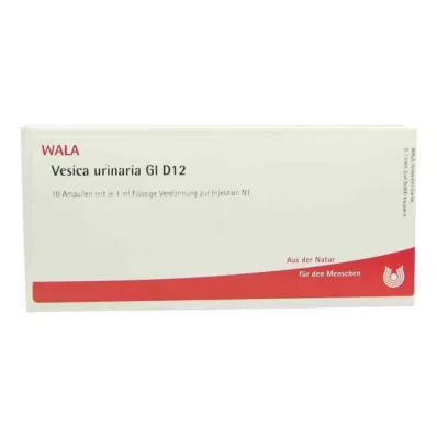 VESICA URINARIA GL D 12 ampullia, 10X1 ml