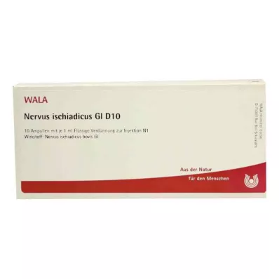 NERVUS ISCHIADICUS GL D 10 ampullia, 10X1 ml