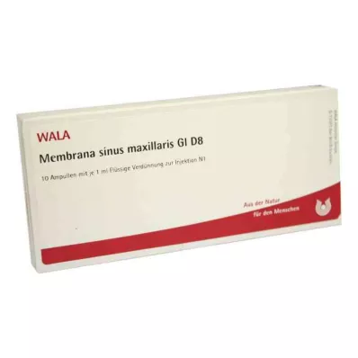 MEMBRANA sinus maxillaris GL D 8 ampullia, 10X1 ml
