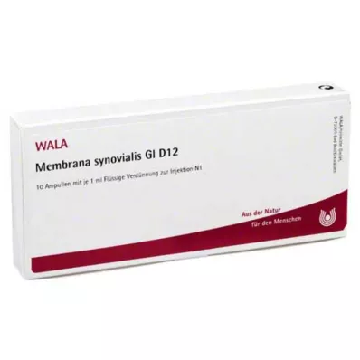 MEMBRANA synovialis GL D 12 ampullia, 10X1 ml