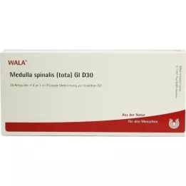 MEDULLA SPINALIS totaali GL D 30 ampullia, 10X1 ml