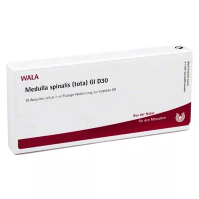 MEDULLA SPINALIS totaali GL D 30 ampullia, 10X1 ml MEDULLA SPINALIS totaali GL D 30 ampullia, 10X1 ml