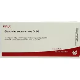 GLANDULAE SUPRARENALES GL D 8 Ampullit, 10X1 ml