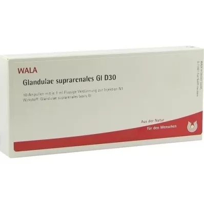 GLANDULAE SUPRARENALES GL D 30 ampullia, 10X1 ml