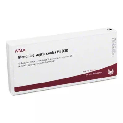 GLANDULAE SUPRARENALES GL D 30 ampullia, 10X1 ml GLANDULAE SUPRARENALES GL D 30 ampullia, 10X1 ml