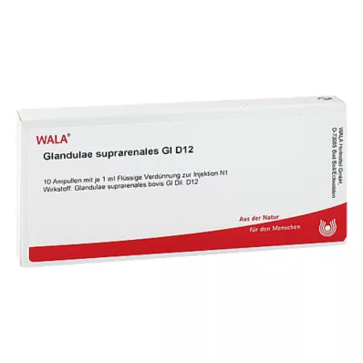 GLANDULAE SUPRARENALES GL D 12 ampullia, 10X1 ml GLANDULAE SUPRARENALES GL D 12 ampullia, 10X1 ml
