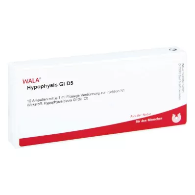 HYPOPHYSIS GL D 5 ampullia, 10X1 ml HYPOPHYSIS GL D 5 ampullia, 10X1 ml