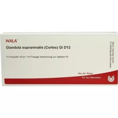 GLANDULA SUPRARENALES cortex GL D 12 ampullia, 10X1 ml