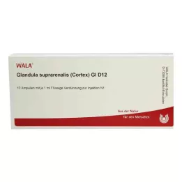 GLANDULA SUPRARENALES cortex GL D 12 ampullia, 10X1 ml