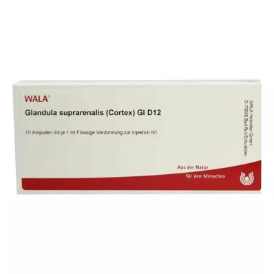 GLANDULA SUPRARENALES cortex GL D 12 ampullia, 10X1 ml