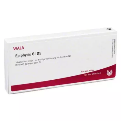 EPIPHYSIS GL D 5 ampullia, 10X1 ml