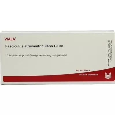 FASCICULUS atrioventricularis GL D 8 ampullia, 10X1 ml