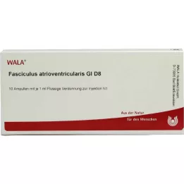 FASCICULUS atrioventricularis GL D 8 ampullia, 10X1 ml