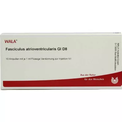 FASCICULUS atrioventricularis GL D 8 ampullia, 10X1 ml